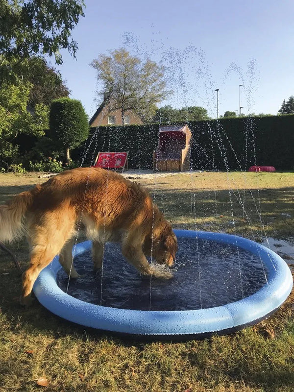 Puppy Splash Pad