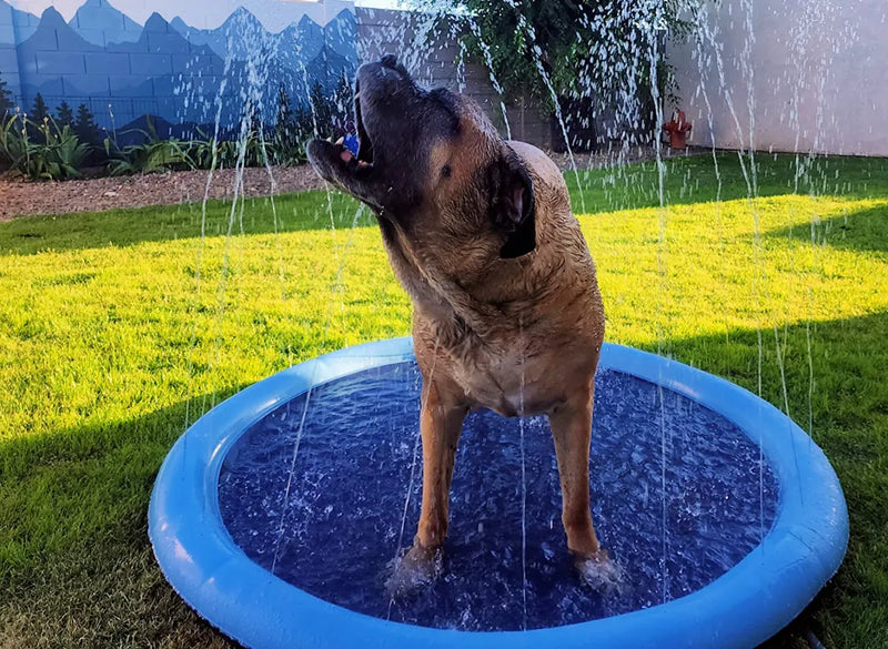 Puppy Splash Pad