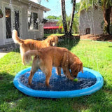 Puppy Splash Pad