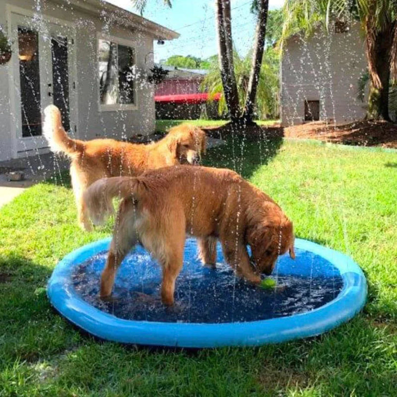 Puppy Splash Pad