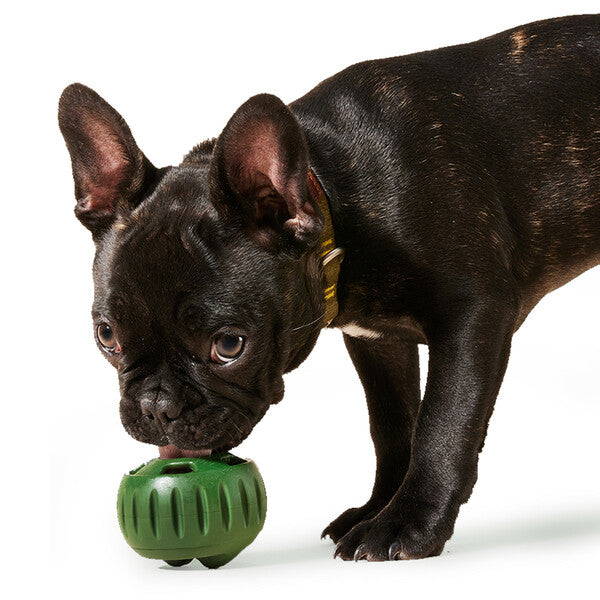 Pupsicle and Mold Tray