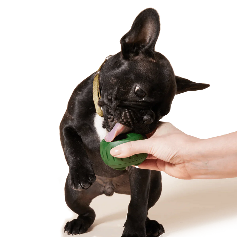 Pupsicle and Mold Tray