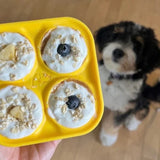 Pupsicle and Mold Tray