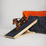 Pet Ramp